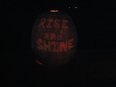 Melon Lantern Aka Chinese Lantern