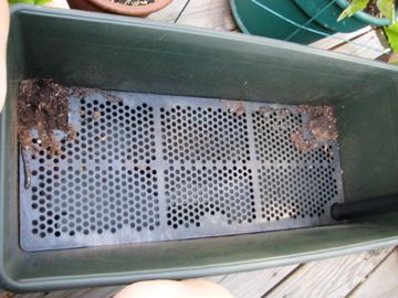 Pack the Holes With Potting Soil and Fill the Water Reservoire