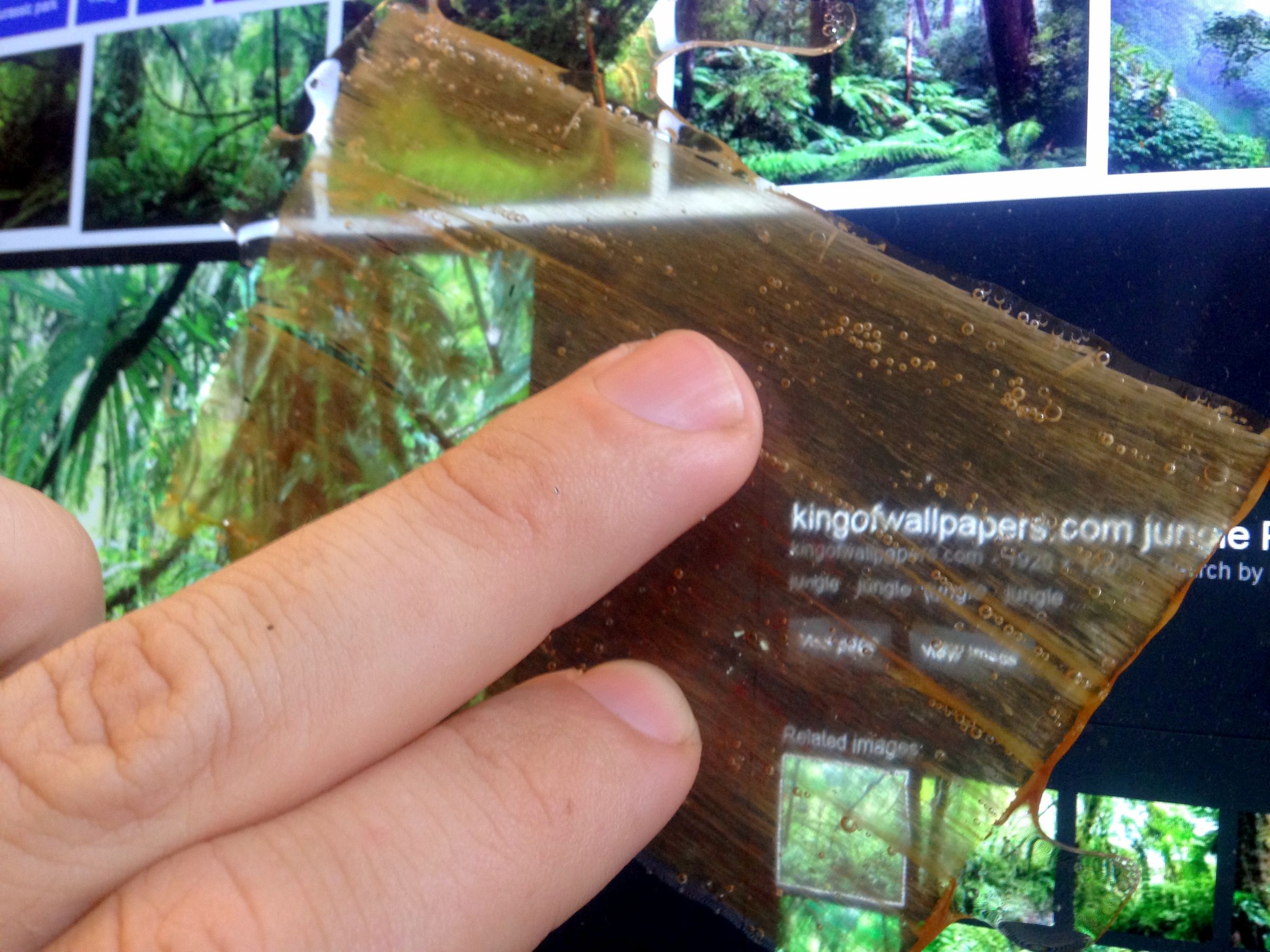 Transparent Wood : 10 Steps (with Pictures) - Instructables