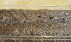 Pour Batter Into Pan and Bake