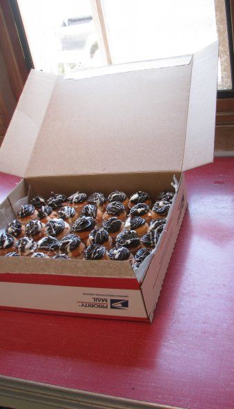 Treat Box Out of Priority Mailing Box