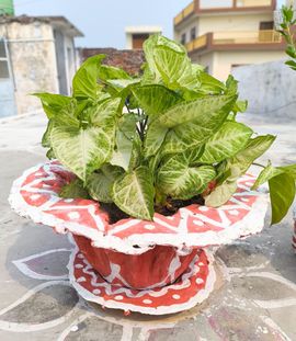 DIY Garden Pots From Old Cloth and Cement : 10 Steps (with Pictures) -  Instructables
