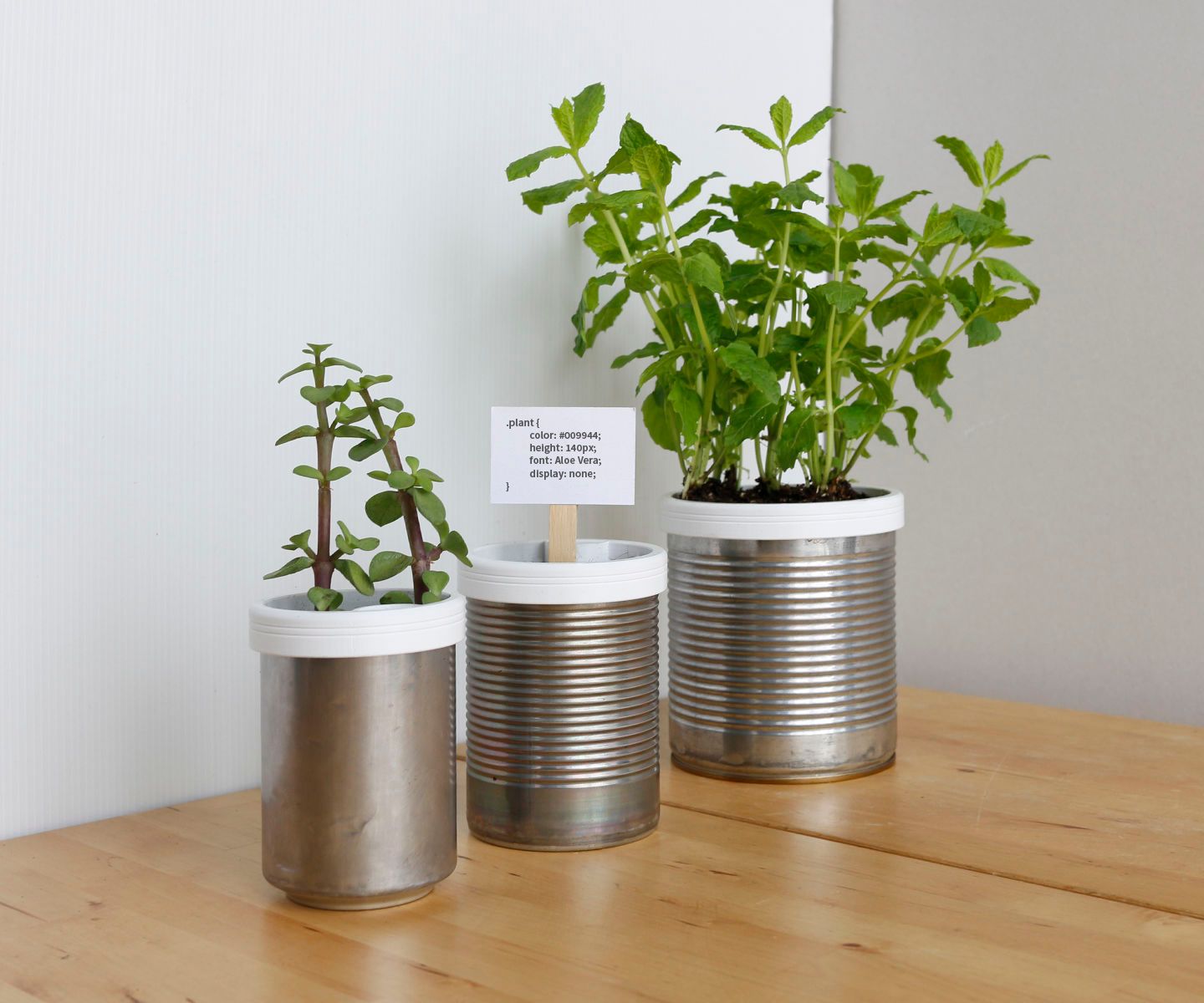 Campbell Planter - Fully 3D Printed Self-Watering Planter