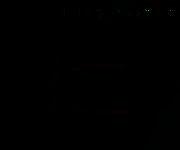 Brush InsectBot