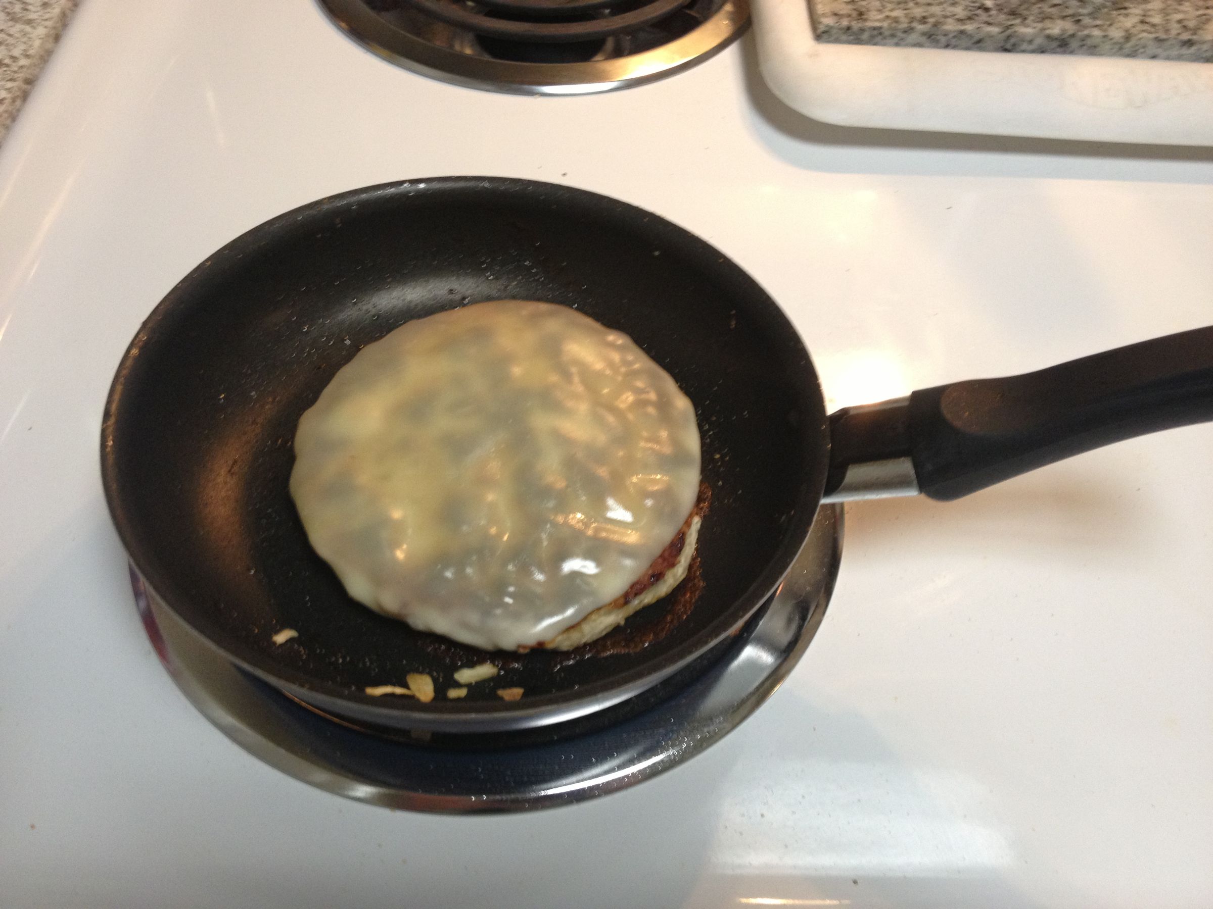 Turkey Burger (LowFat!) 6 Steps Instructables