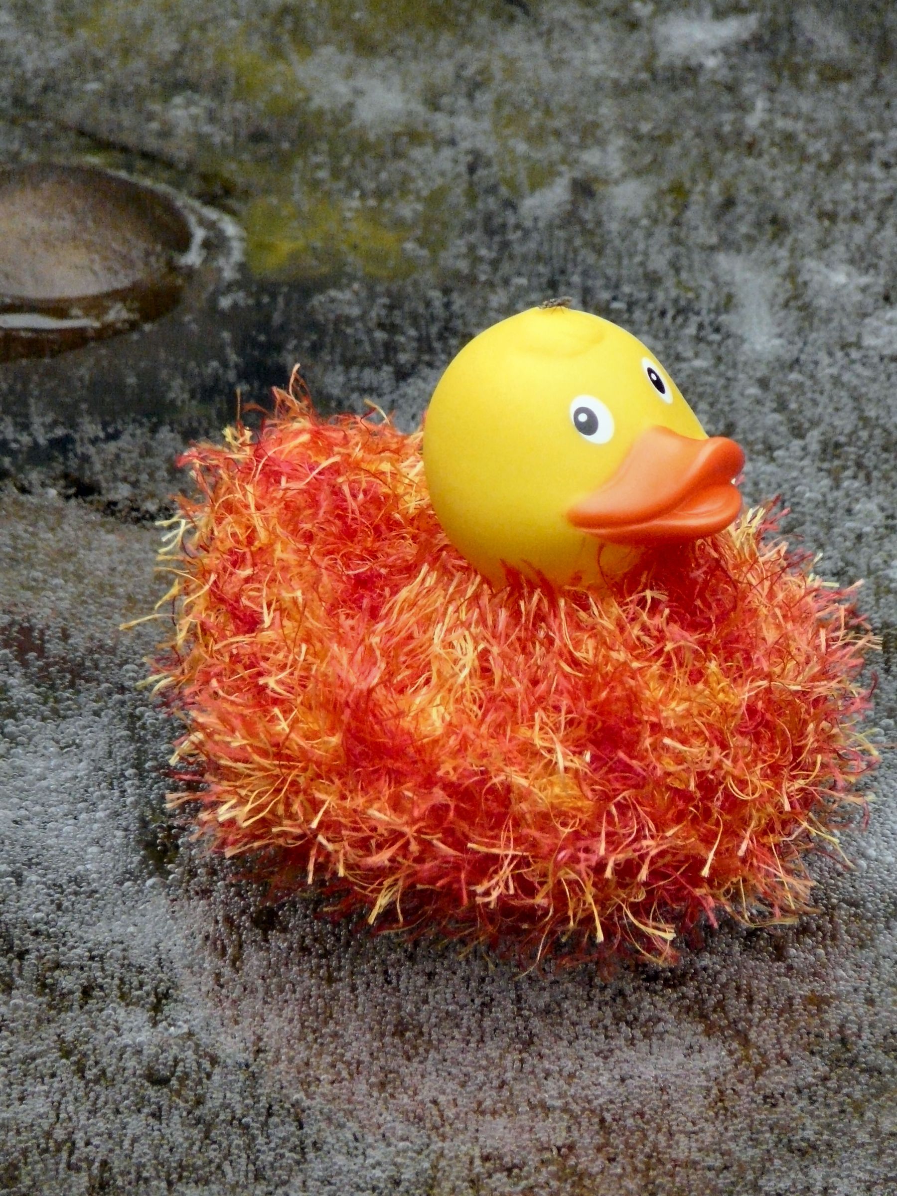 Dancing on Ice Duckling