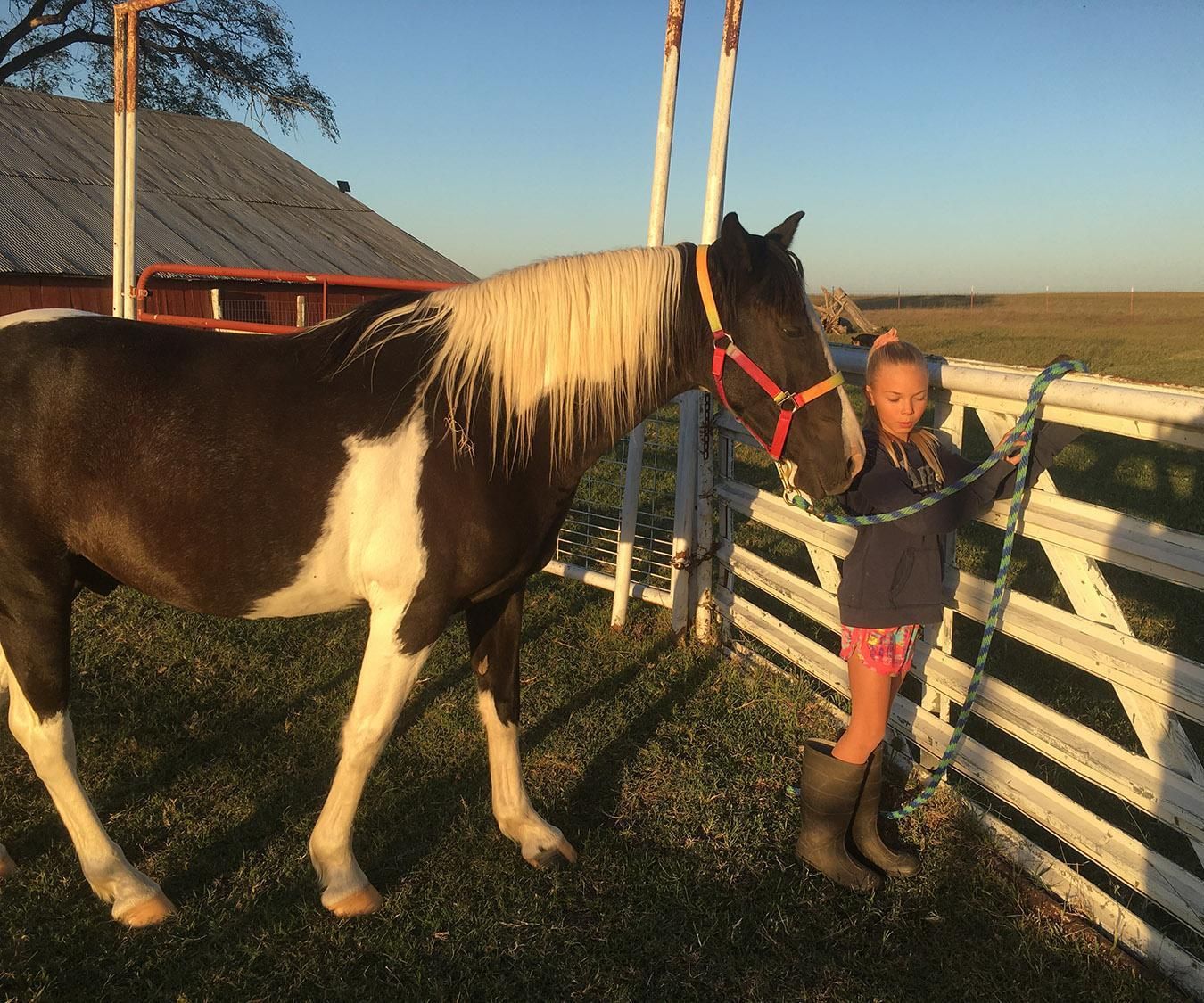 How to Saddle a Horse!