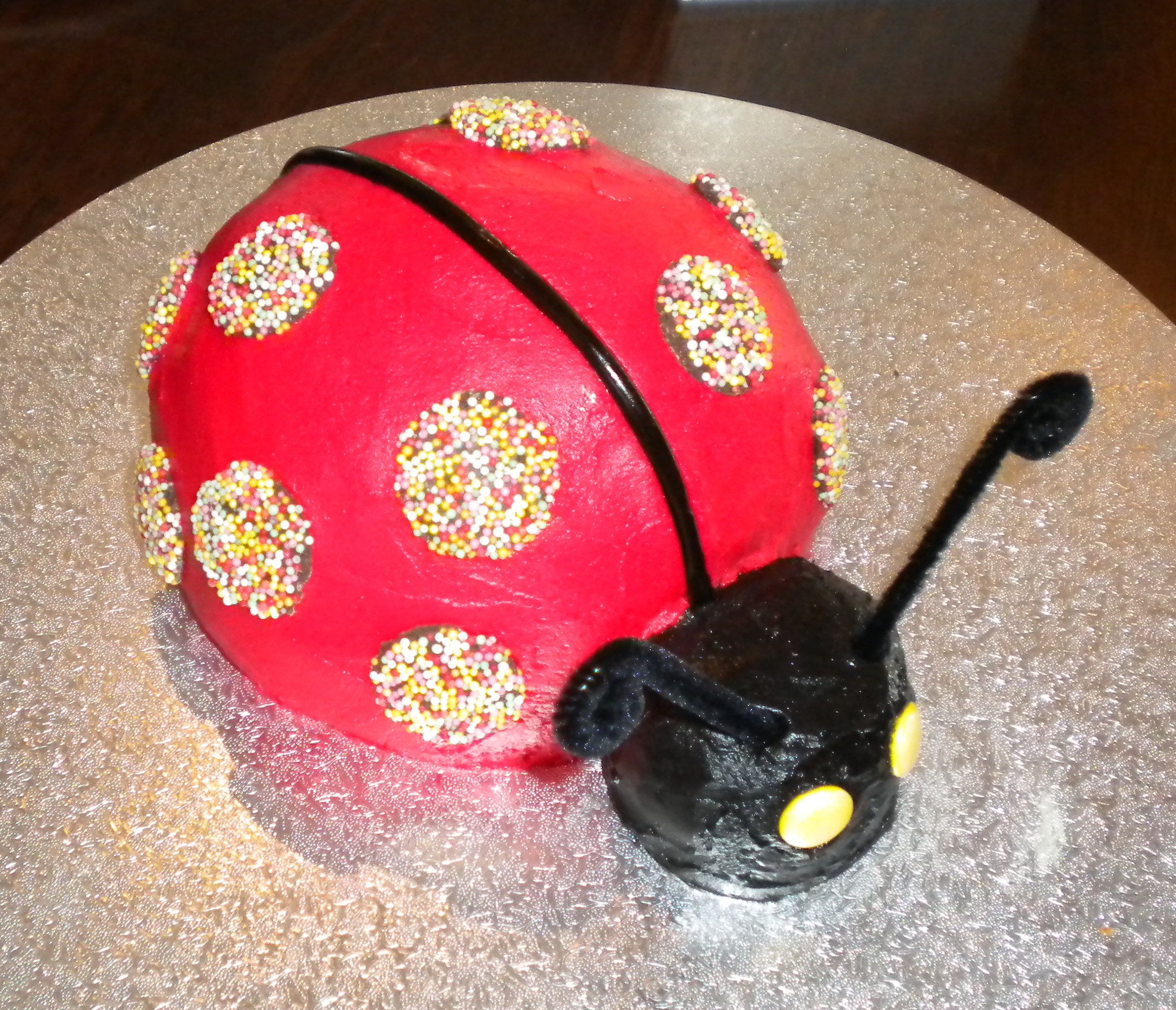 Ladybird Birthday Cake & Cupcakes
