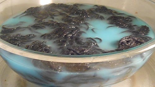 Microwave Magic!
