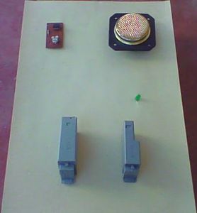 Burgular Alarm