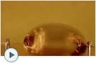 Simplest Electric Motor
