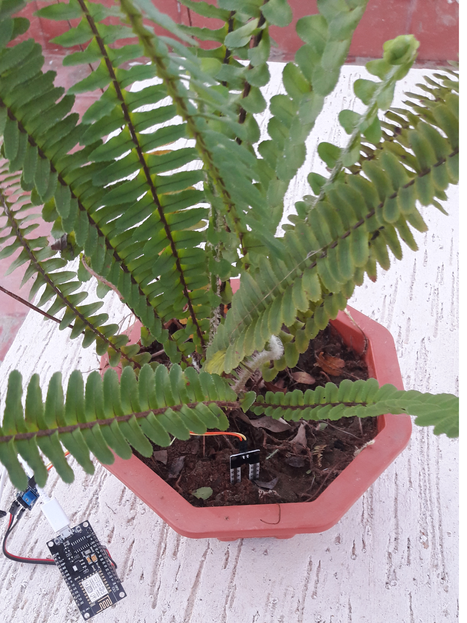 extra large plant pots Extra Large White Concrete Planter for Trees  100cm Tall the Aurella