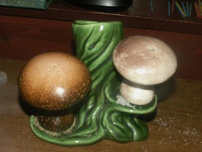 Salt & Pepper Cork / Stopper / Plug Fix Repair