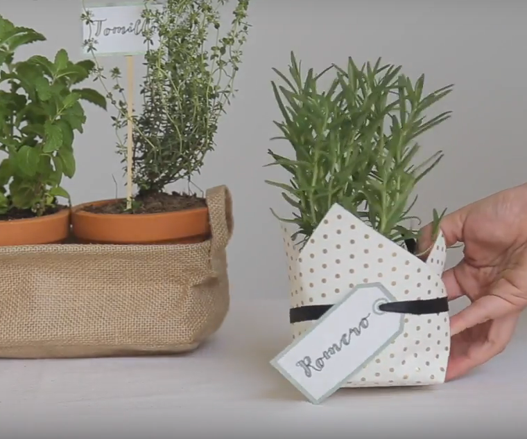 3 Ways to Wrap Potted Plants