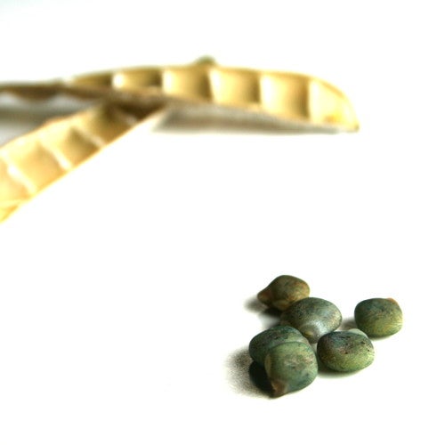 Harvest Seeds 3 Steps Instructables