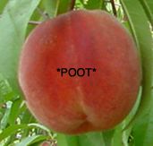 peach_fart
