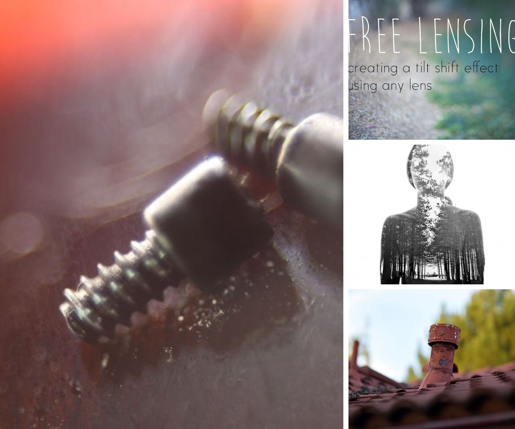 Photography Tips & Tricks