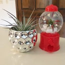 2 Gift-able Projects Using Real Plants!