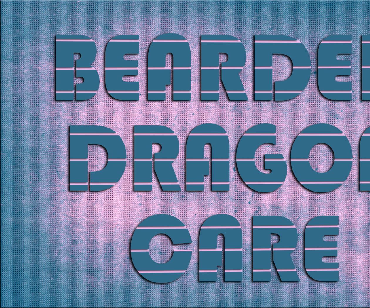 Bearded Dragon Care