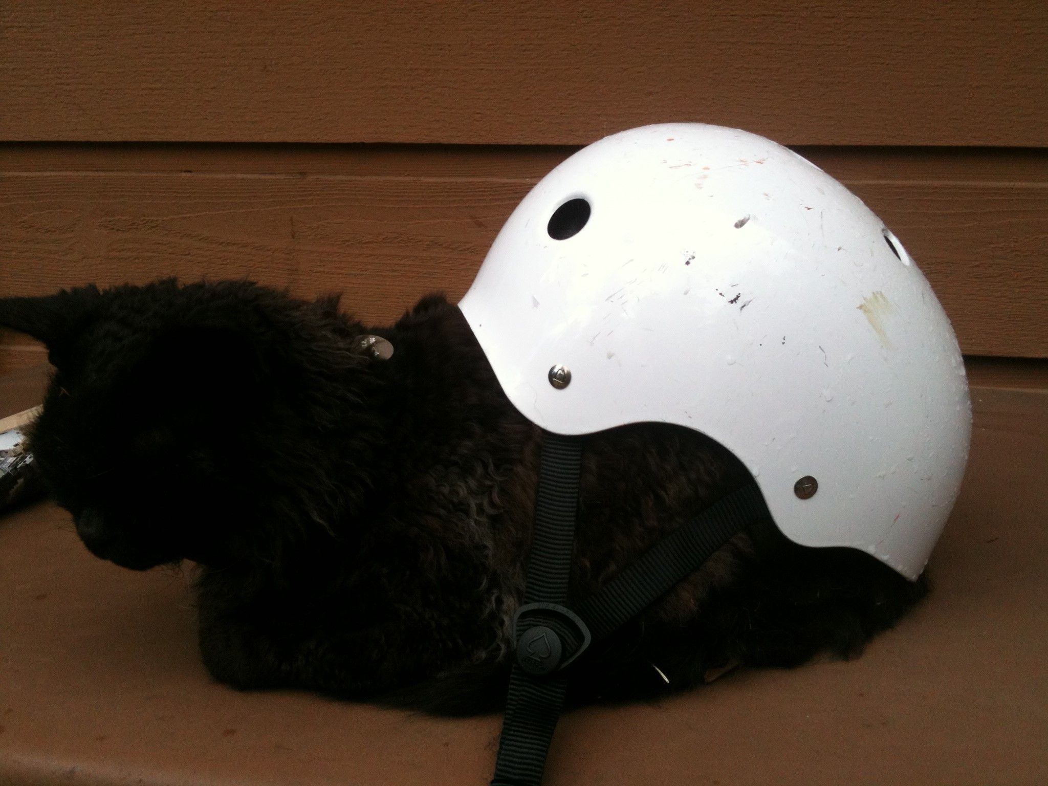 How to Fix Wobbly/loose Bicycle Seat With Zip Ties Instructables