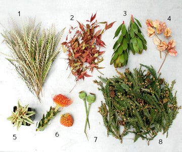 Modern Ingredients