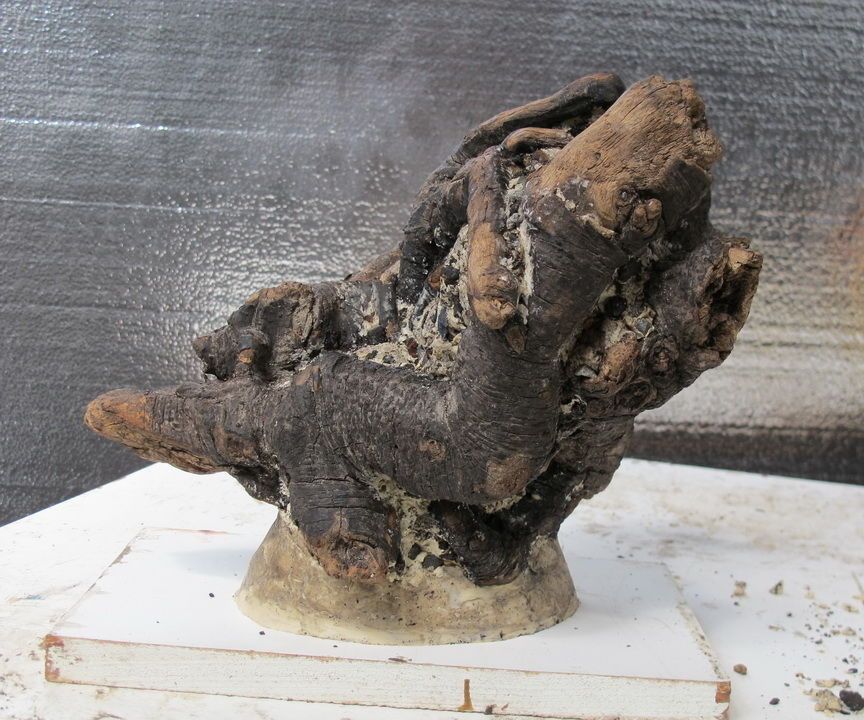 Molding a Natural Object to Make a Wax Positive for Casting