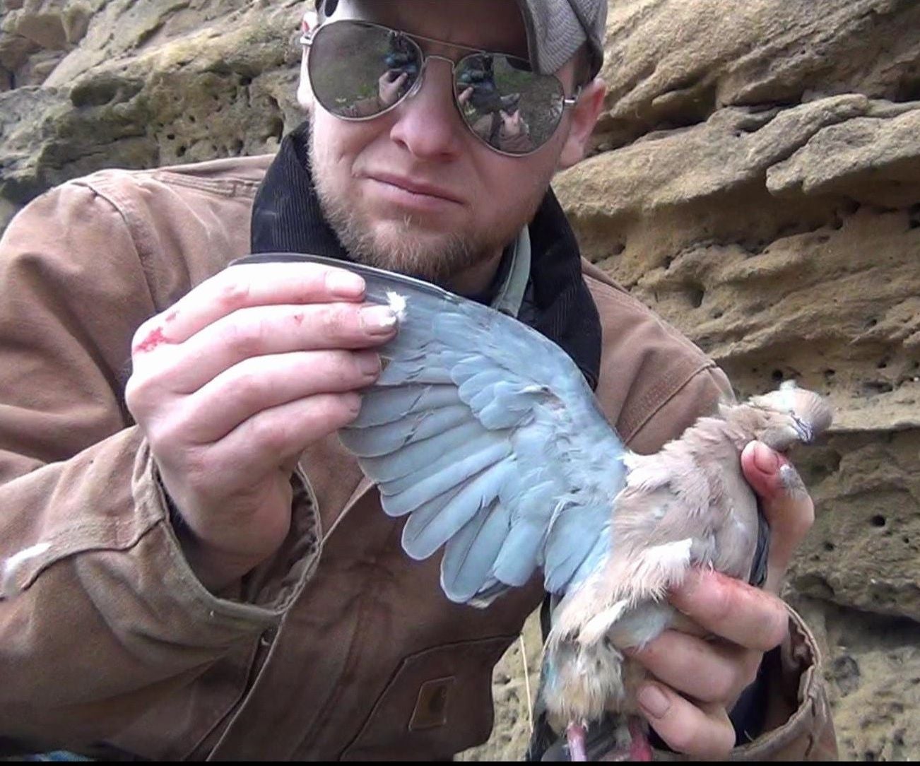 How to Field Dress a Dove / Pheasant / Quail 7 Steps Instructables