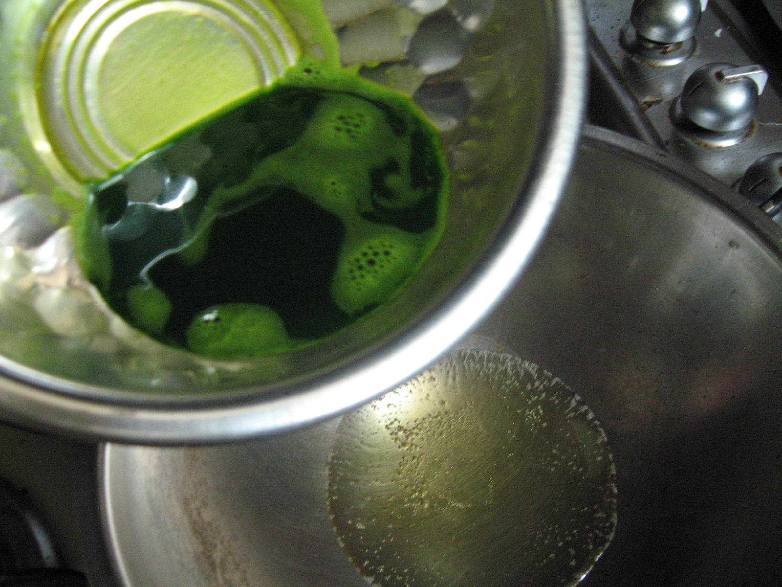 Home Remedy Papaya Leaf Oinment for Muscle Pain and Twisted Joints