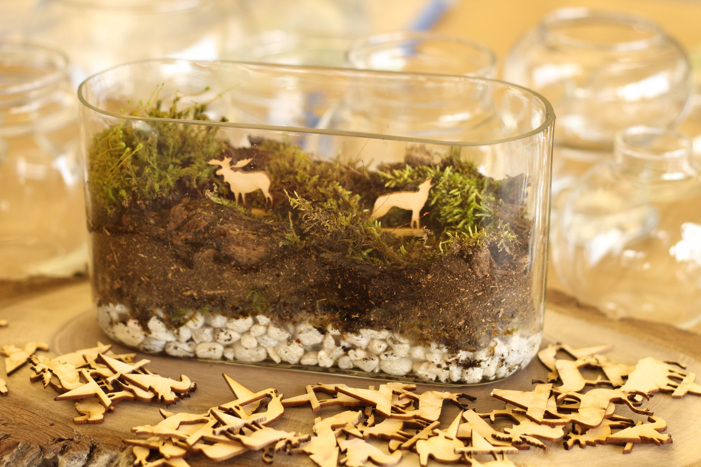 Terrarium With Lasers! I Made This at Techshop!