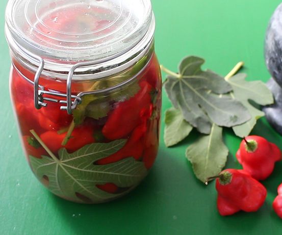 Pickled Bell Chilies