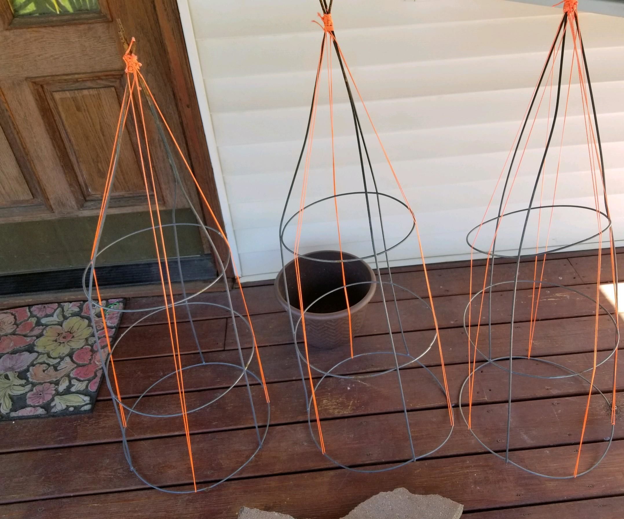 Pea Trellis Made From Tomato Cage