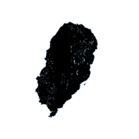 download {{ file.name }}