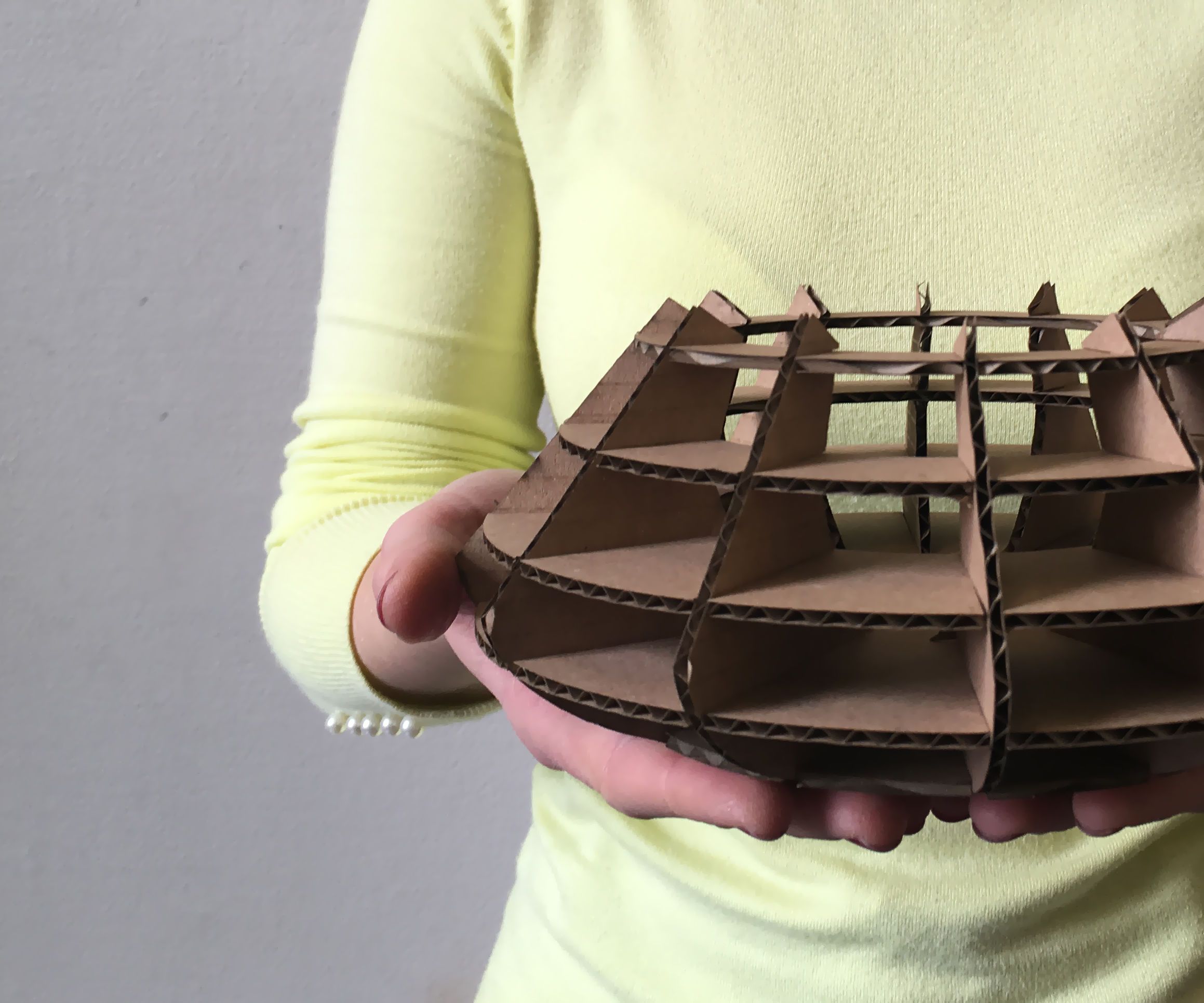 Cardboard Fruit Bowls 