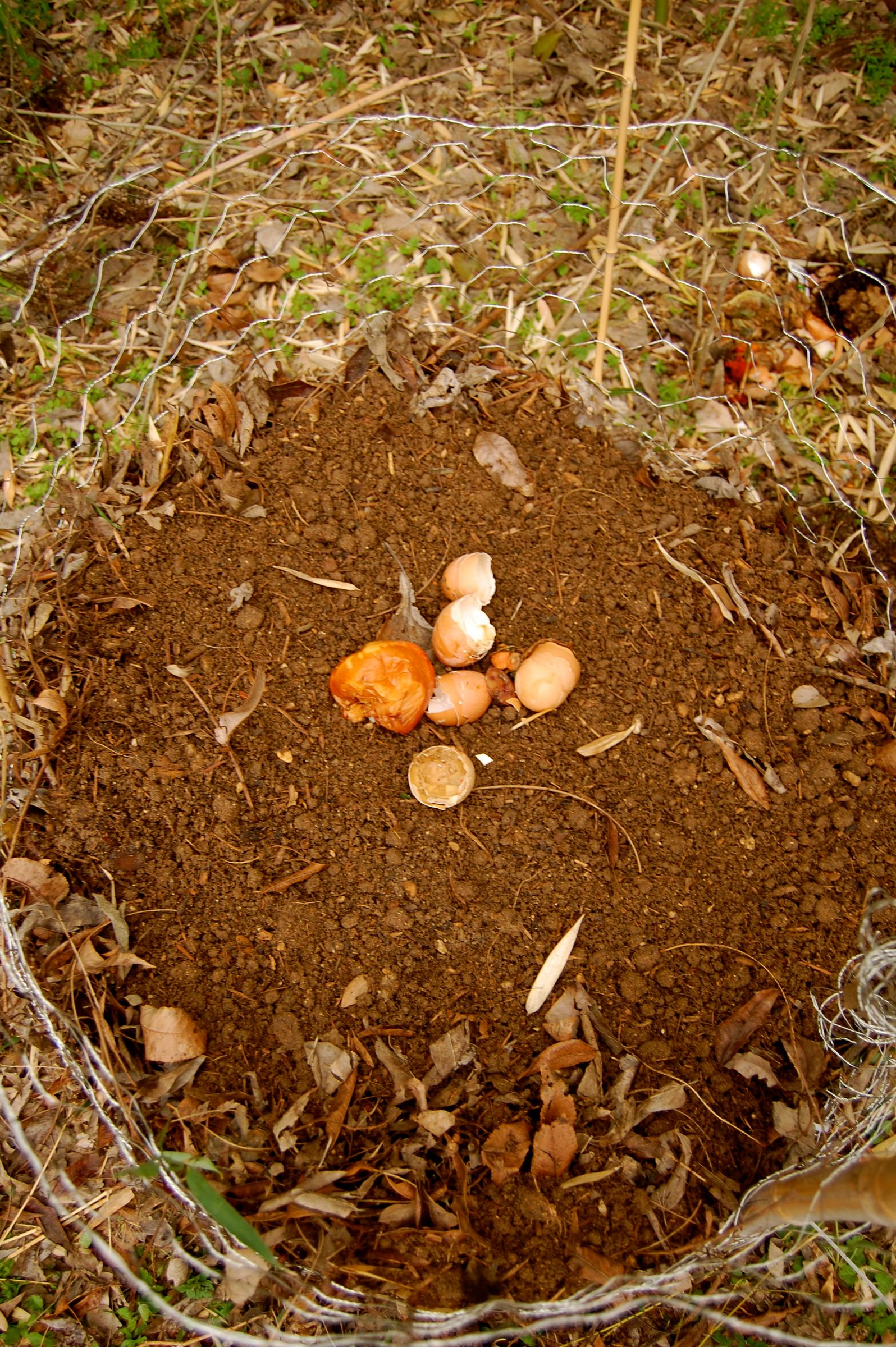 Learn How to Compost in Less Than an Hour