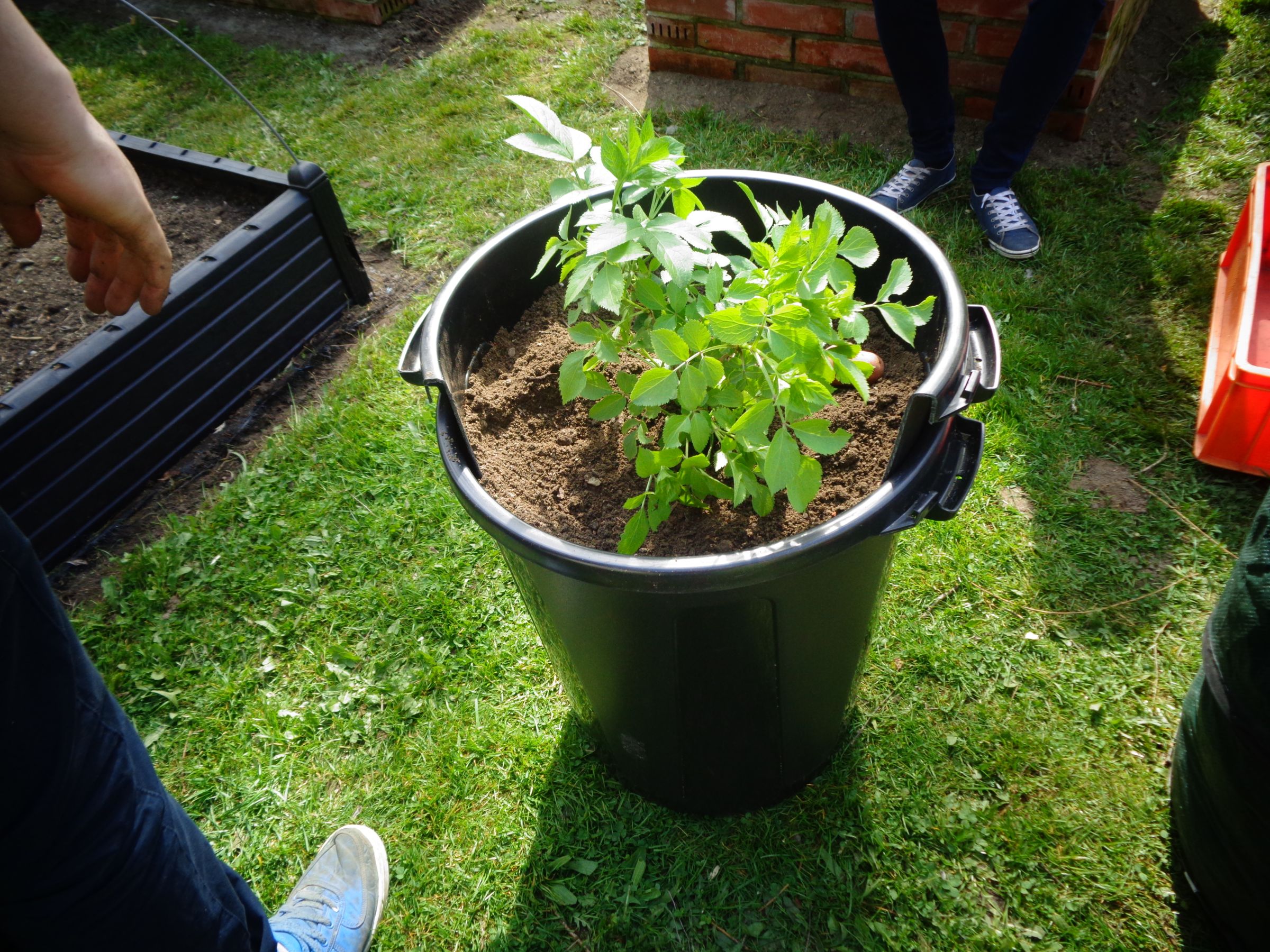 DIY Growing Potato Tower With Turning Bins 10 Steps (with Pictures