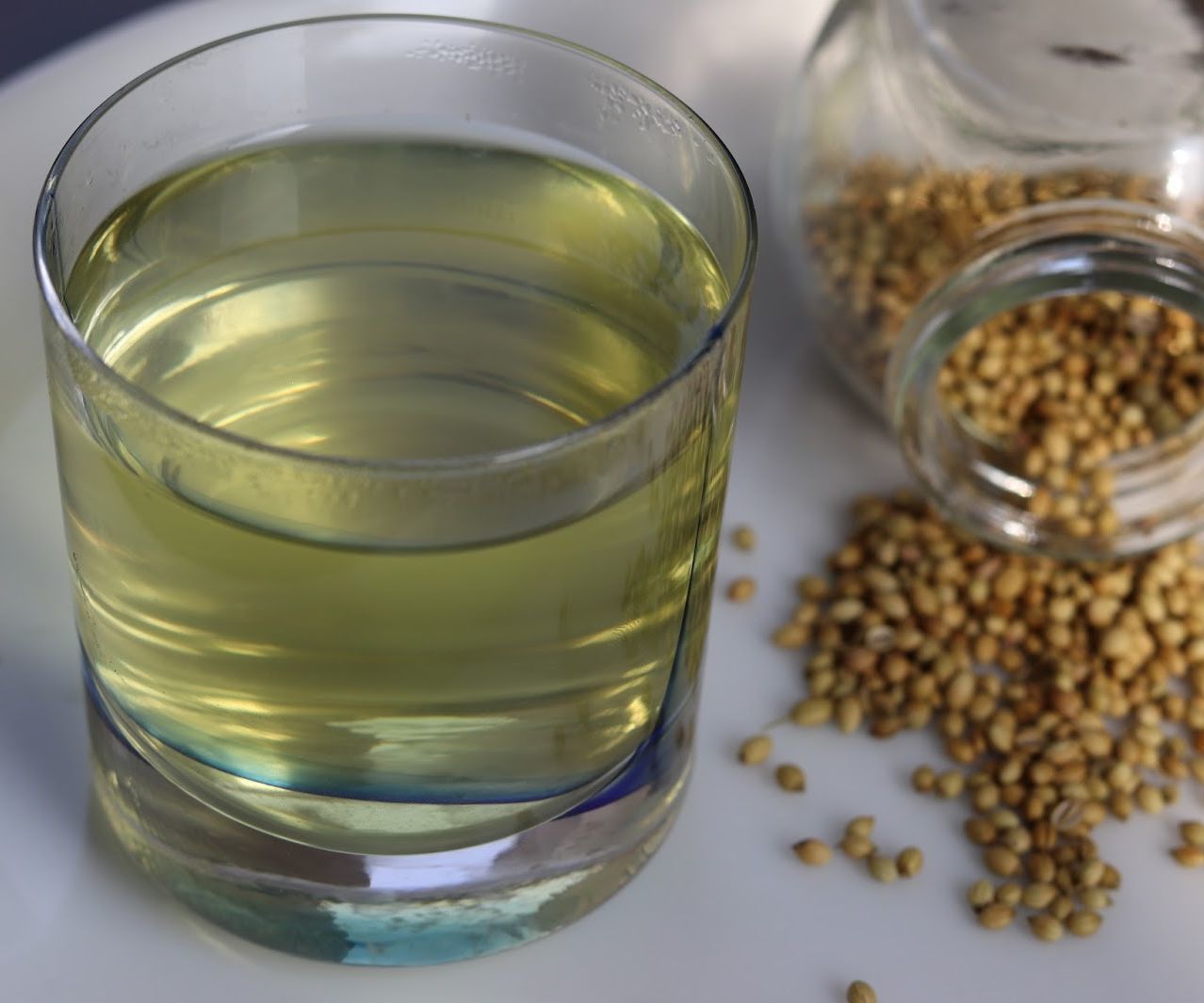 Coriander Seeds Water for Weight Loss