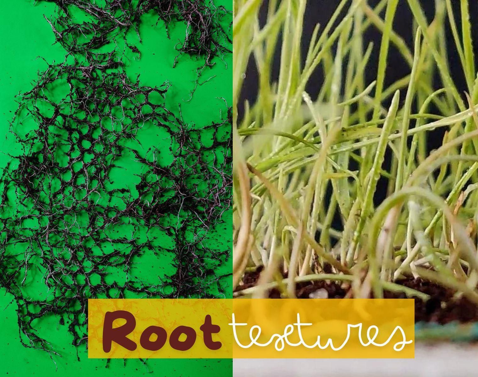 Innovative Root Textiles - Transforming Wheatgrass Roots Into Textured ...