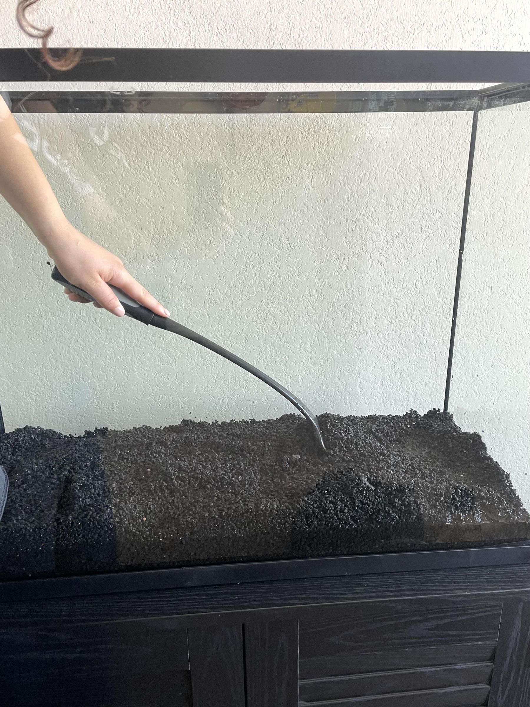 How to Set Up a Tropical Aquarium 11 Steps (with Pictures