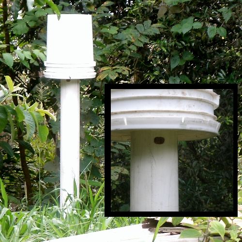 Bee Hive in a Bucket