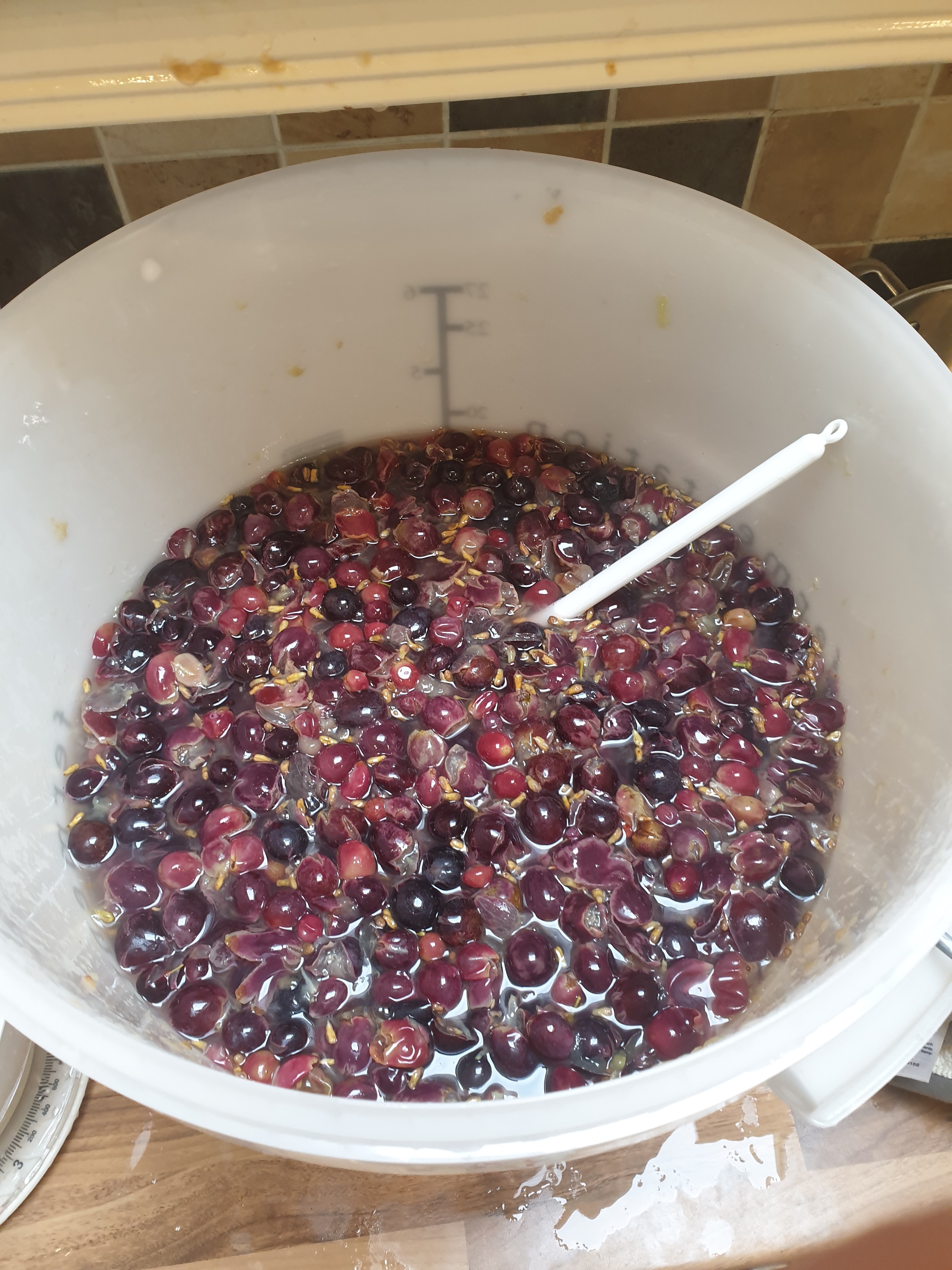 How to Make Your Own Wine From Grapes at Home 20 Steps (with Pictures