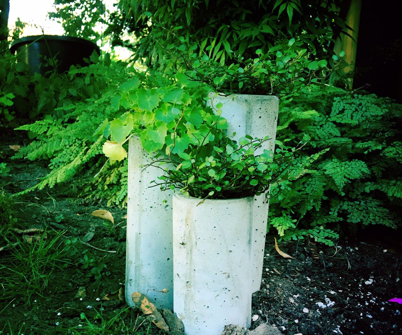 Hose Guide Planters