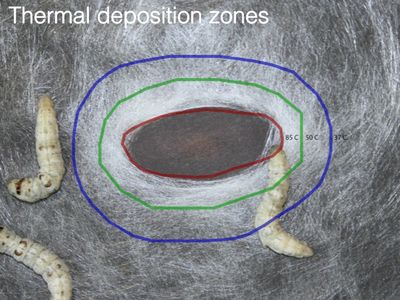 Experiment: Temperature Guided Deposition 