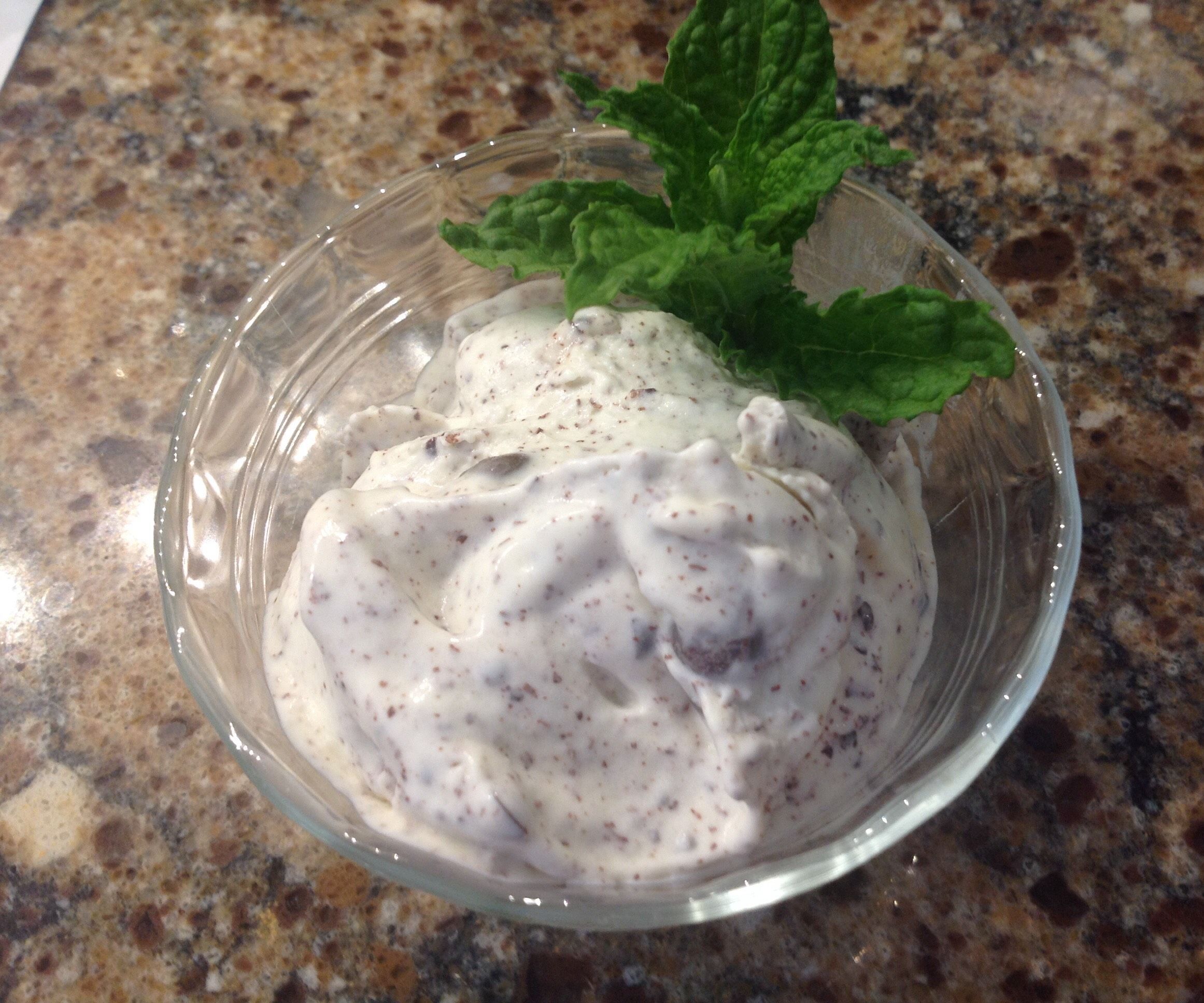 Homemade Mint Chip Ice Cream