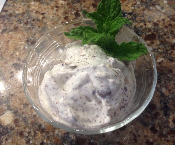 Homemade Mint Chip Ice Cream