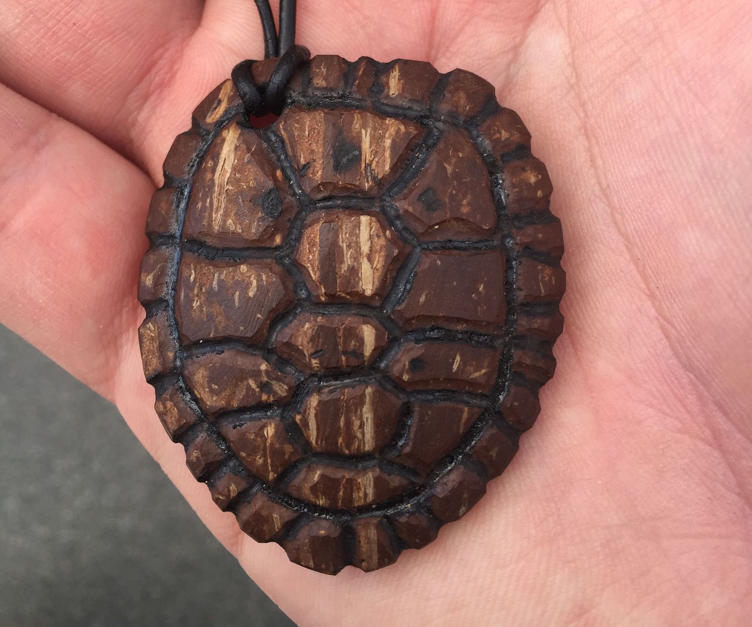 Turtle Shell From Coconut