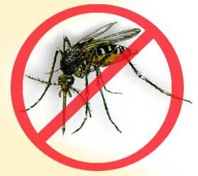 Dengue Mosquito Repellent - Repelente para Mosquito da Dengue