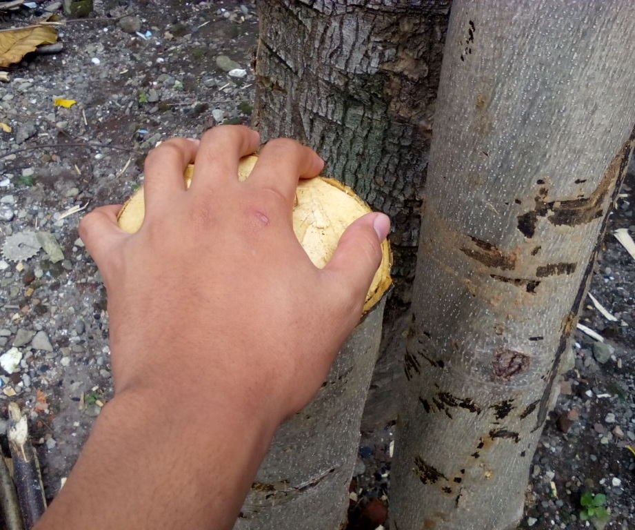 Anvil Stand From Small Diameter Log