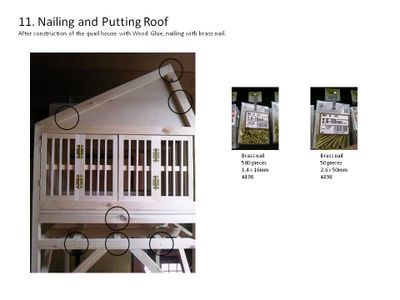Nailing and Putting Roof