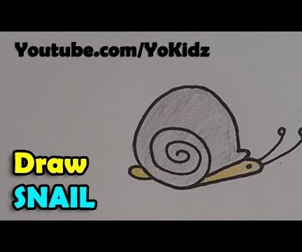 How to Draw a Cartoon Snail