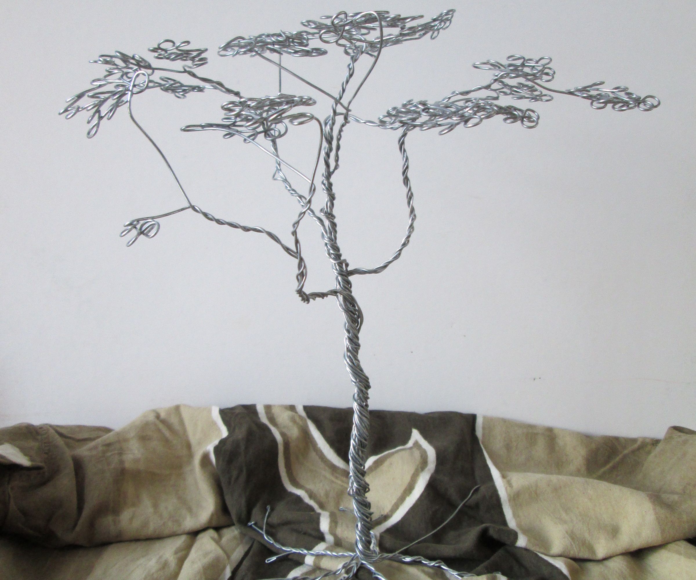 Wire Savannah Acacia
